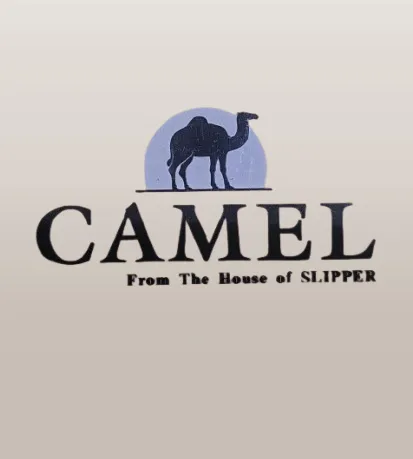 CAMEL